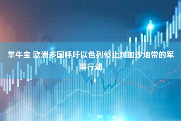 掌牛宝 欧洲多国呼吁以色列停止对加沙地带的军事行动