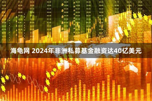 海龟网 2024年非洲私募基金融资达40亿美元