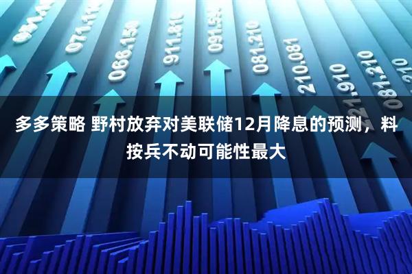 多多策略 野村放弃对美联储12月降息的预测，料按兵不动可能性最大