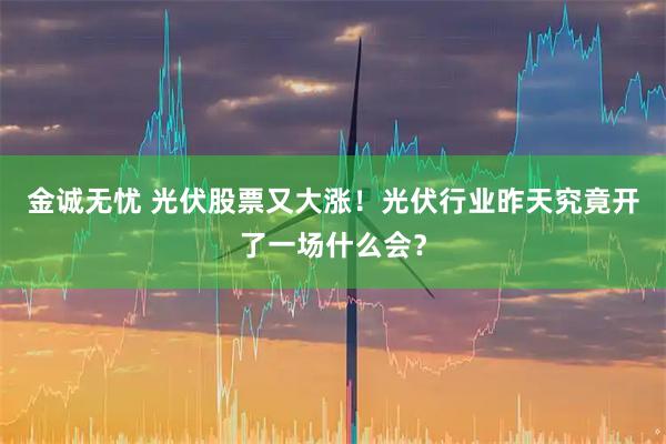 金诚无忧 光伏股票又大涨！光伏行业昨天究竟开了一场什么会？