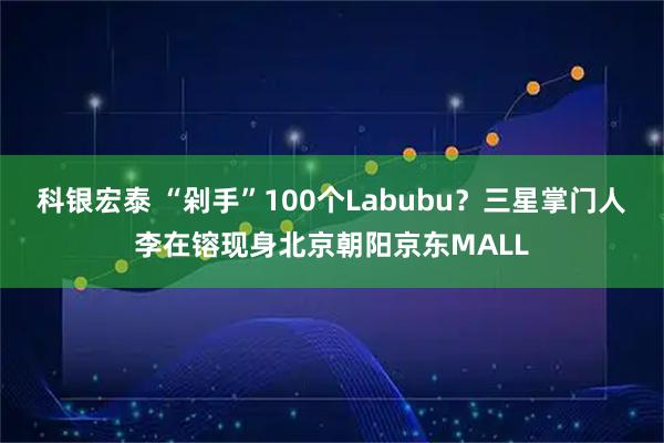 科银宏泰 “剁手”100个Labubu？三星掌门人李在镕现身北京朝阳京东MALL