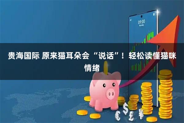 贵海国际 原来猫耳朵会 “说话”！轻松读懂猫咪情绪