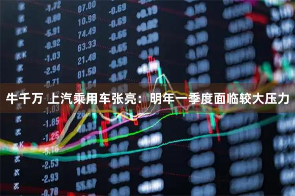 牛千万 上汽乘用车张亮：明年一季度面临较大压力