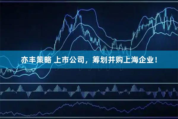 亦丰策略 上市公司，筹划并购上海企业！